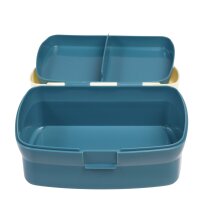 LUNCHBOX - FAIRIES IN THE GARDEN - FEEN IM GARTEN - BY REX LONDON