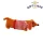 MINI SAUSAGE DOG IN A BOX - WURSTHUND -  MINI-DACKEL IN EINER BOX - BY REX LONDON
